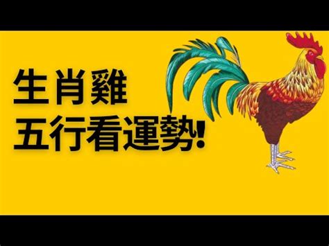 屬雞五行缺什麼|屬雞五行缺什麼？深入解讀屬雞的五行屬性與命理